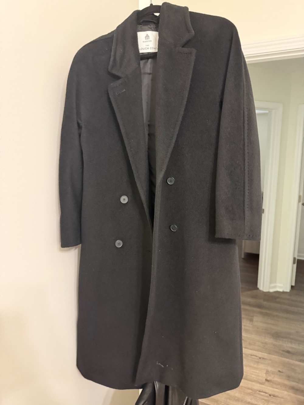 Aritzia slouch coat